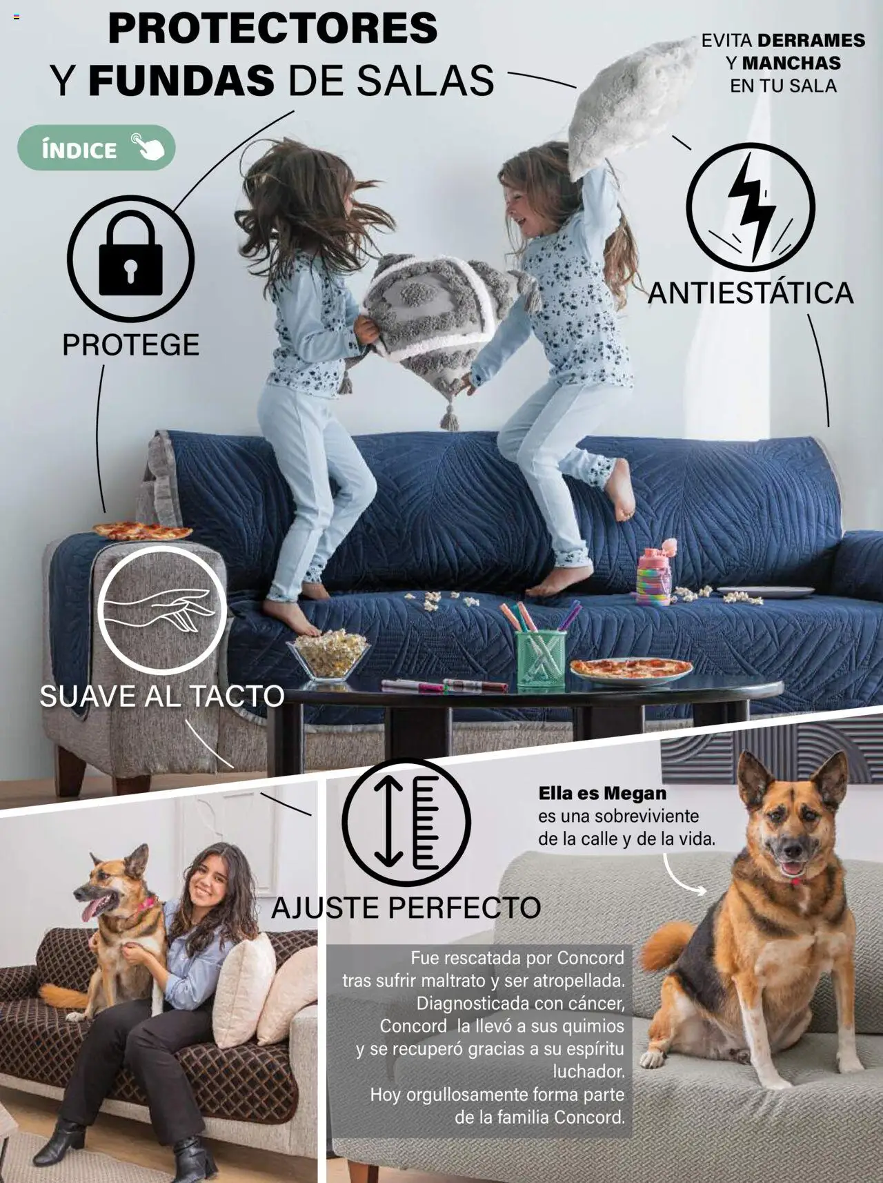 Nuevas ofertas de Colchas Concord válidas en toda la República Mexicana desde el 01.08.2025. ¡Encuentra las mejores ofertas en Colchas Concord - Catálogo! | Página: 548