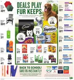 Lowes Foods Weekly Ad - valid from 23.07.2025 | Page: 11