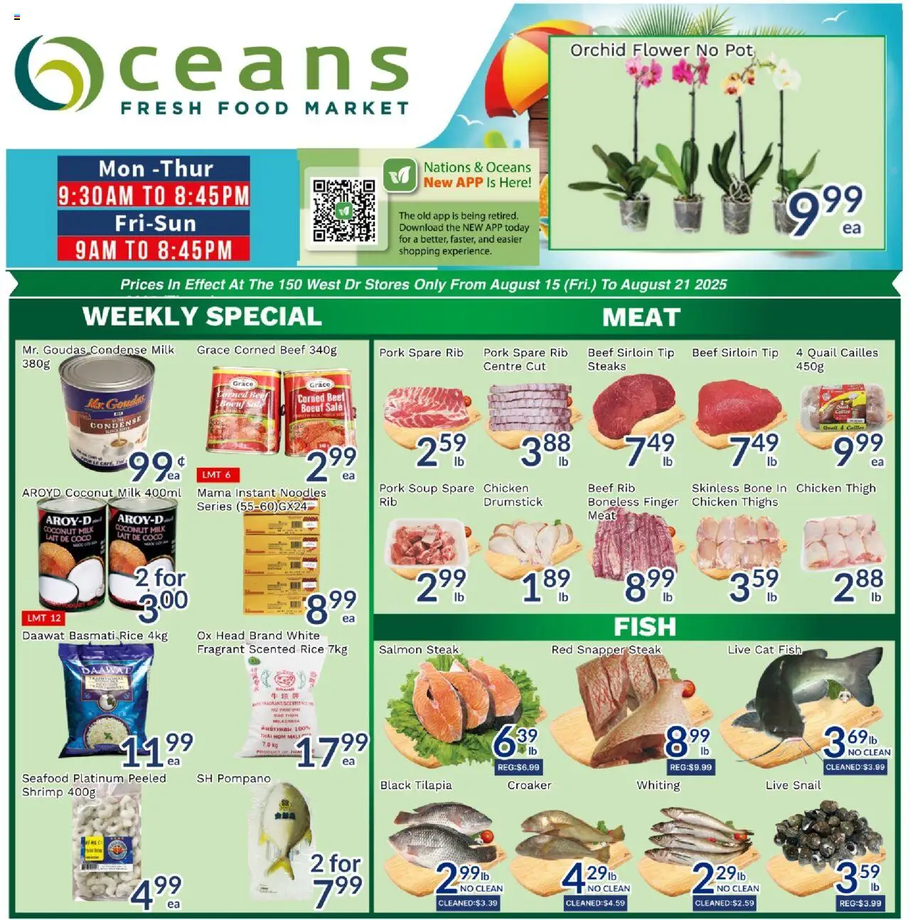 Oceans flyer valid from 15.08.2025 | Page: 1