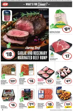 IGA catalogue - valid from 17.09.2025 | Page: 13