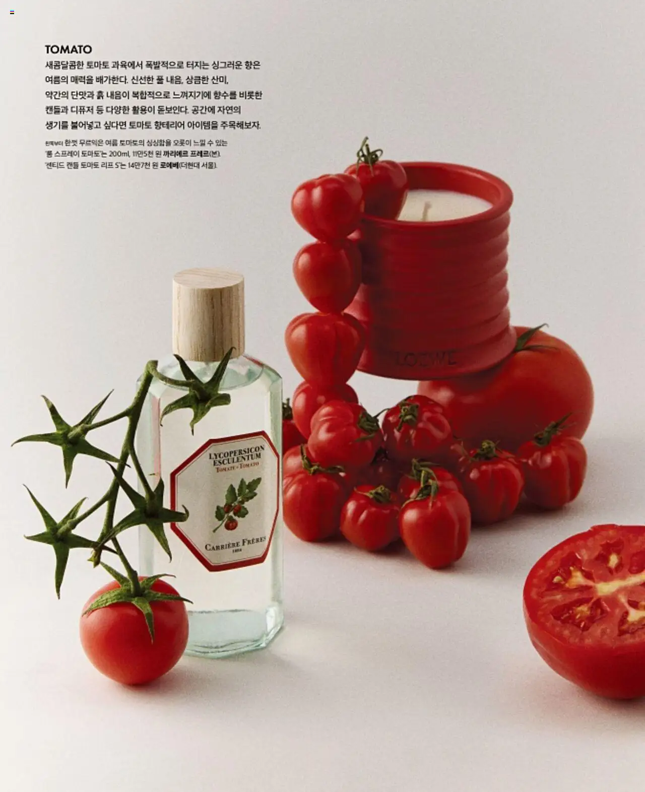  | 페이지: 136 | 상품: 토마토