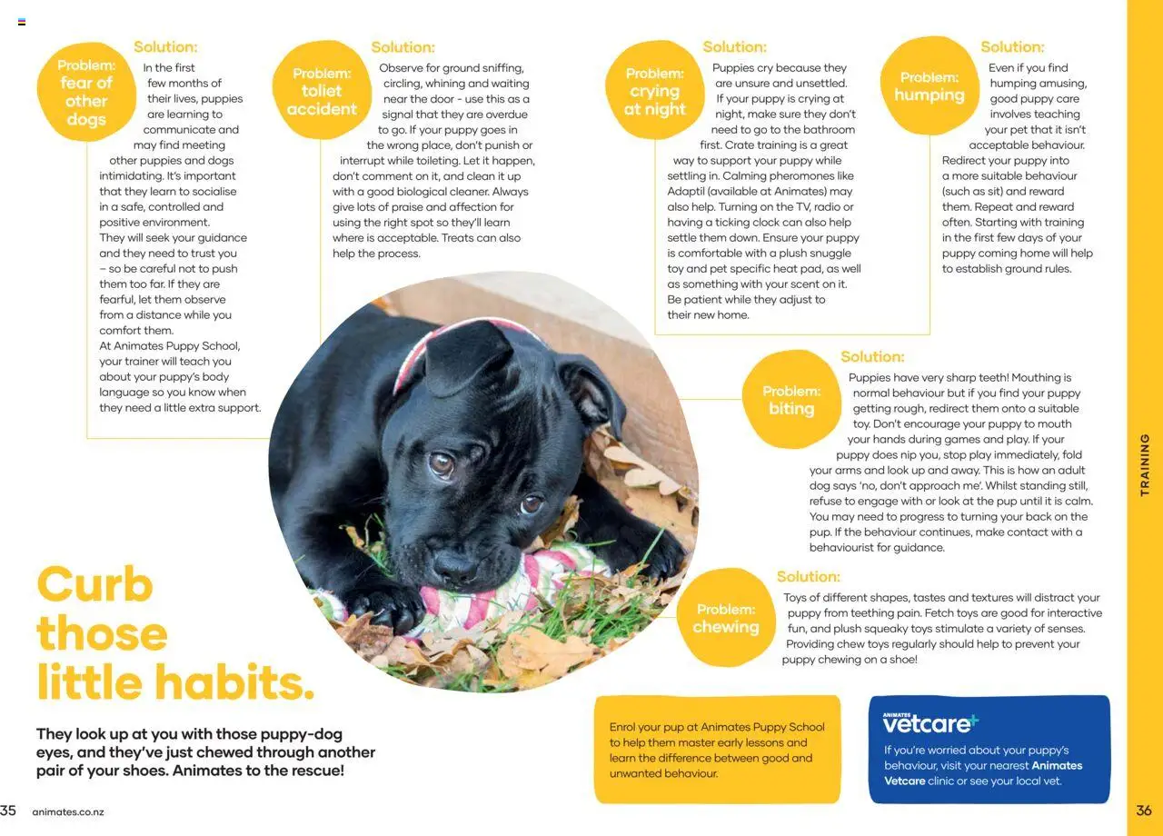 Animates catalogue from 01.01.2024 | Page: 19