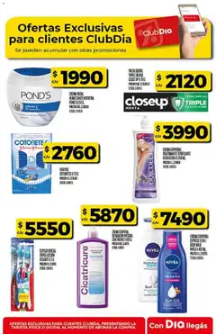 Vista previa Supermercado DIA Ofertas válido desde el 25.02.2026 | Página: 55