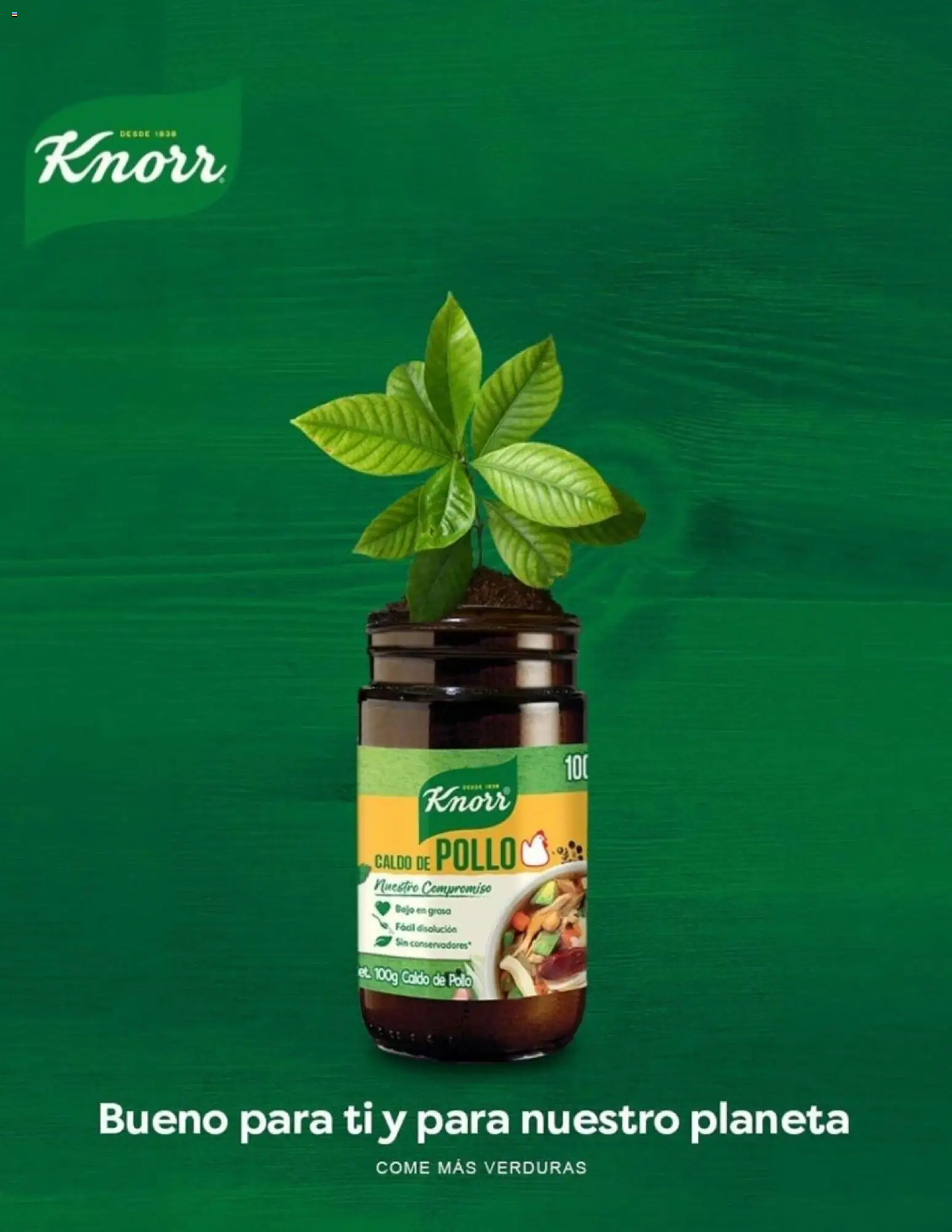 Nuevas ofertas de Casa Ley válidas en toda la República Mexicana desde el 11.11.2025. ¡Encuentra las mejores ofertas en Casa Ley Revista Ley + Para ti! | Página: 2 | Productos: Pollo