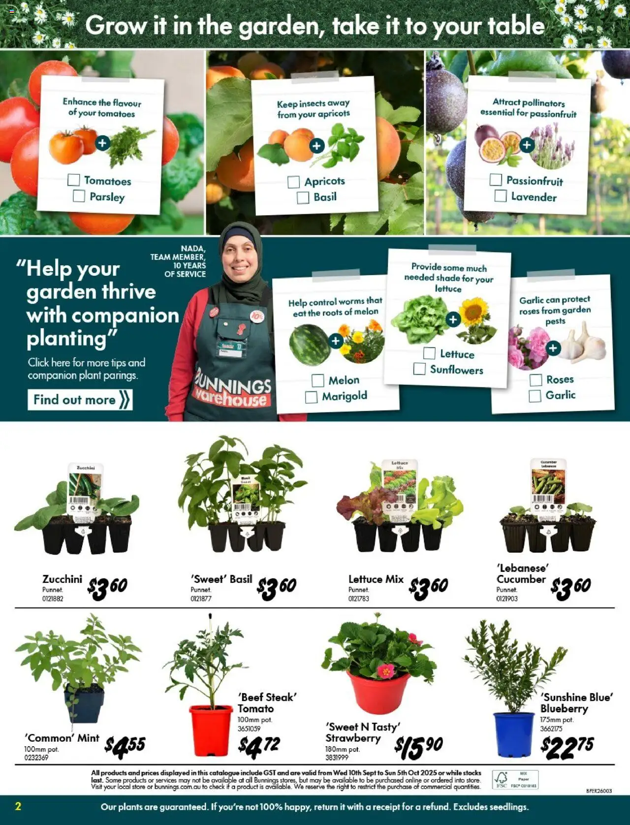 Bunnings Warehouse catalogue - valid from 10.09.2025 | Page: 2 | Products: Plant, Tomatoes, Melon, Parsley