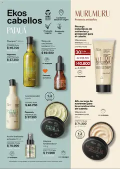 Natura - Ciclo 15 -  Vista previa de la revista de la tienda Natura valido desde el 24.09.2025 | Página: 142