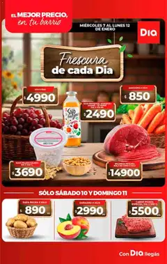 Vista previa Supermercado DIA Ofertas válido desde el 07.01.2026 | Página: 5