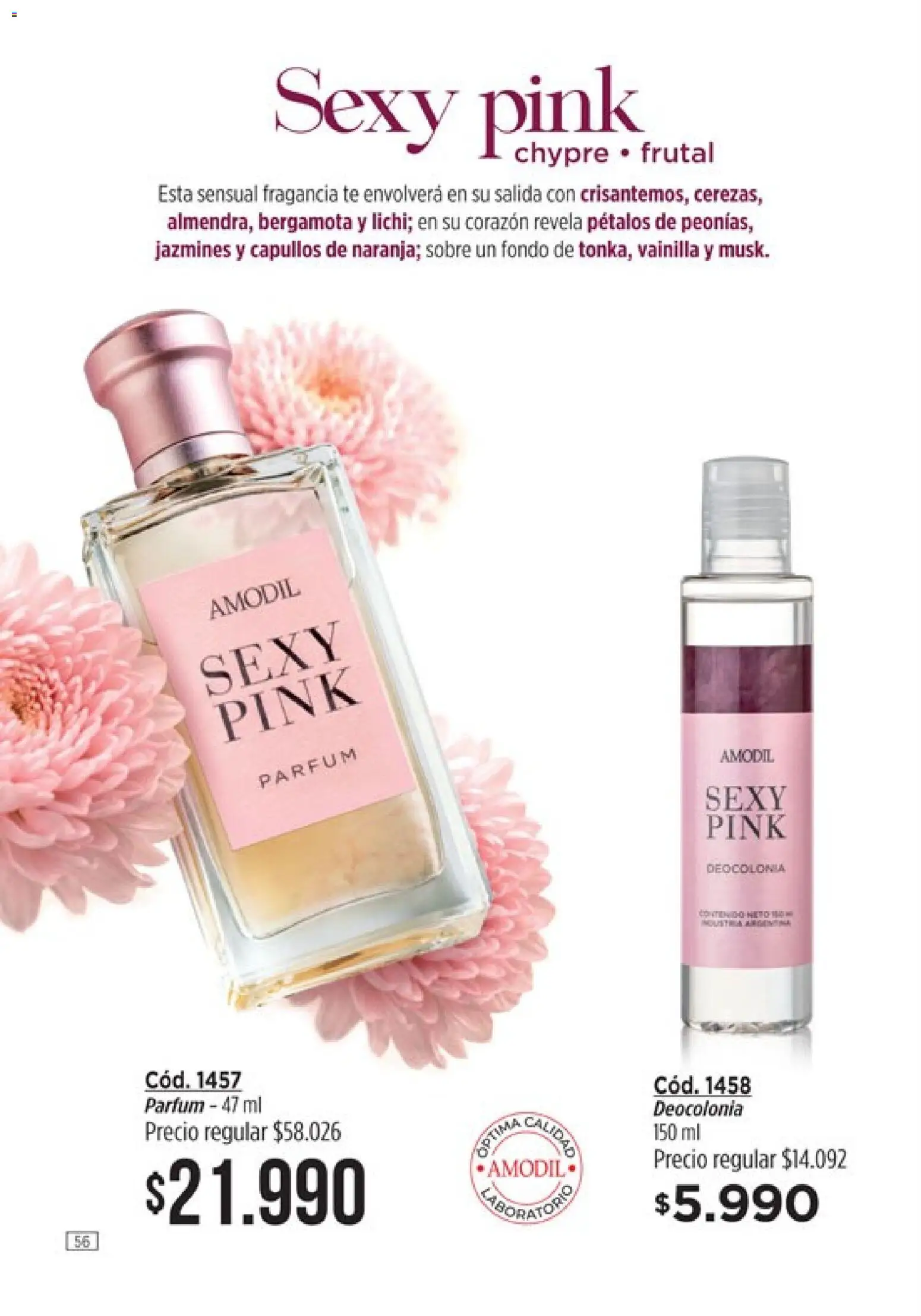 Catálogo Amodil Campaña 6 │ válido desde el 04.03.2026 | Página: 56 | Productos: Sobre, Fragancia, Té