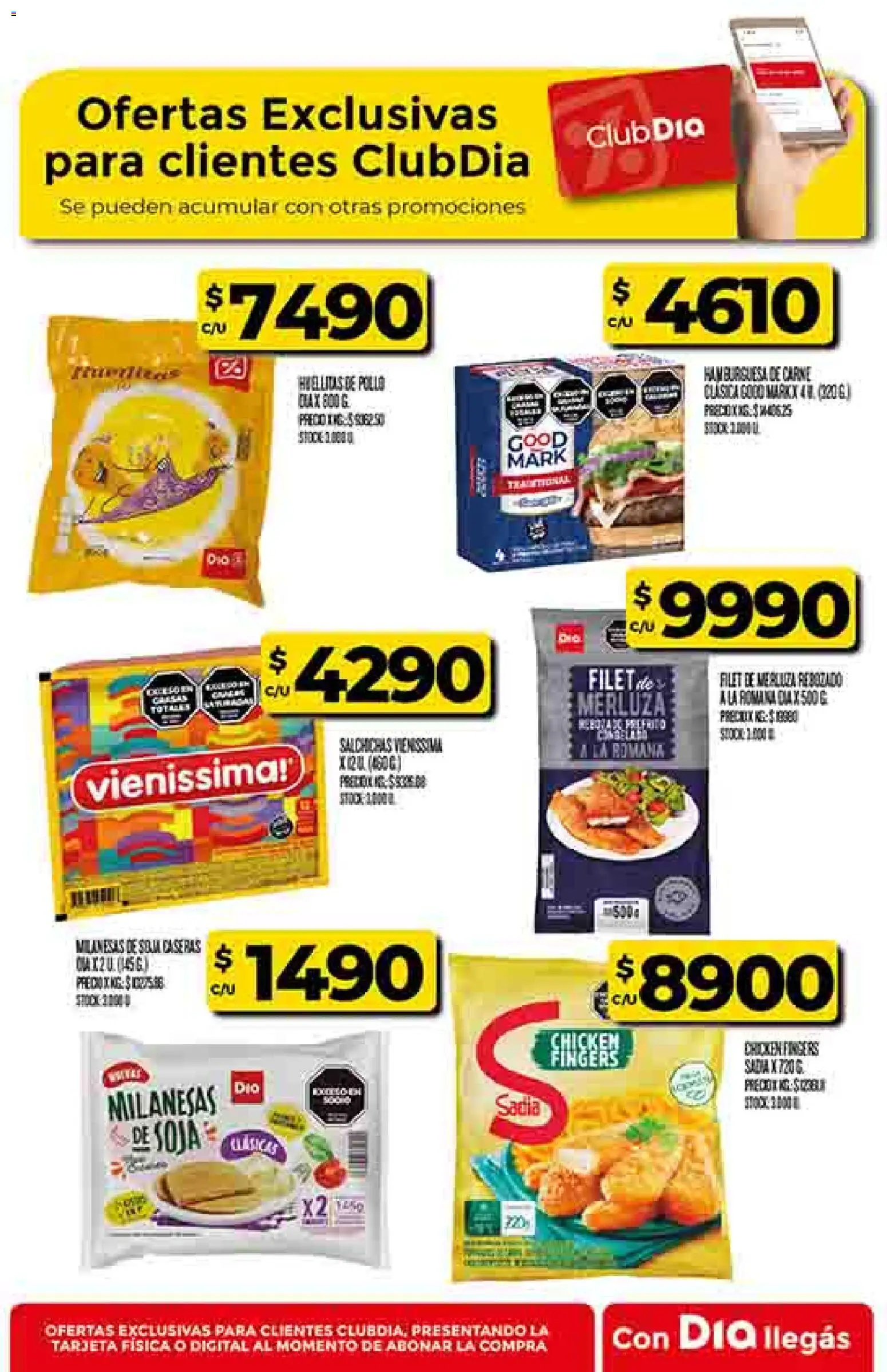 Dia - Ofertas - Salta y Jujuy │ válido desde el 26.11.2025 | Página: 39 | Productos: Pollo