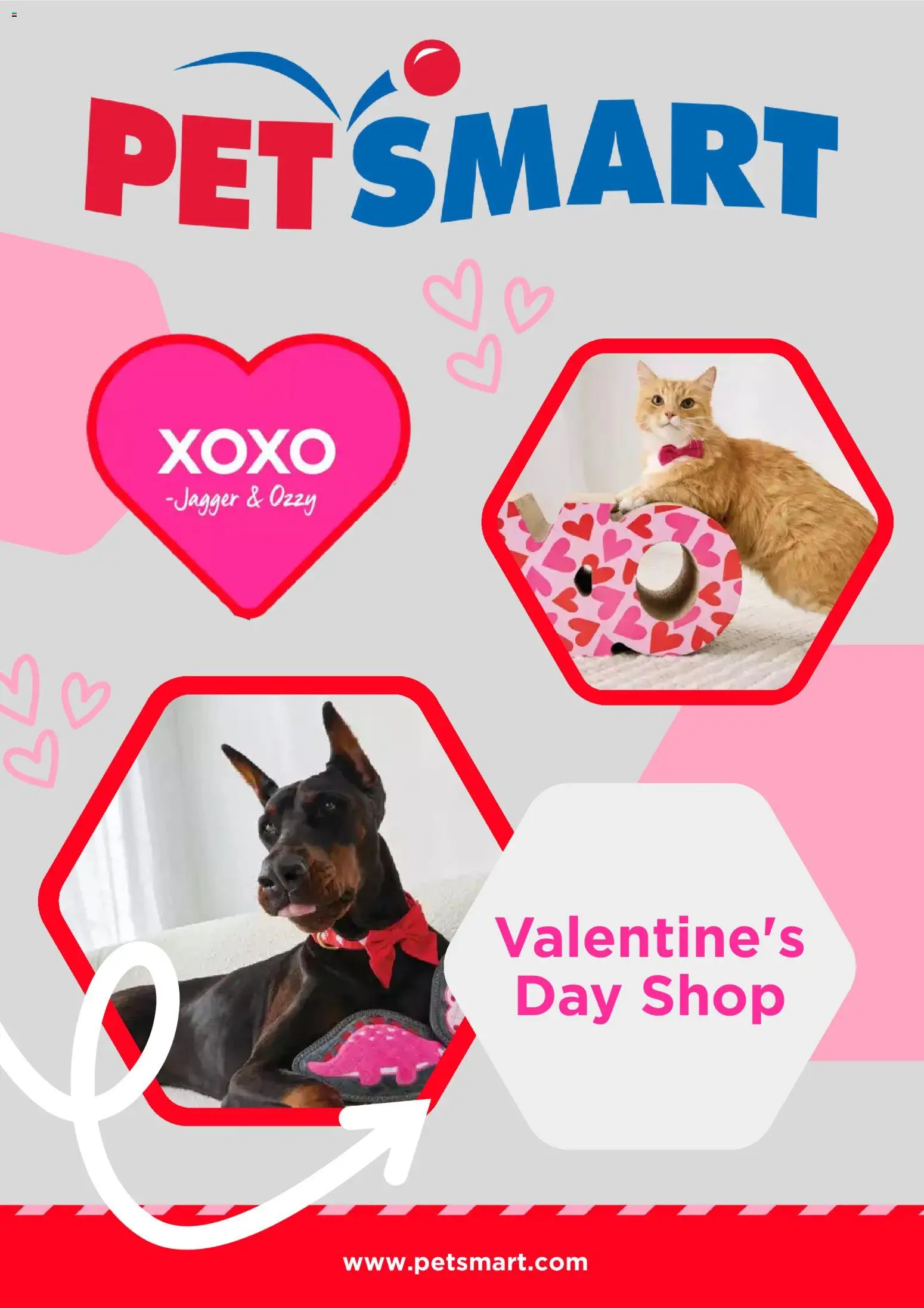 Petsmart Weekly Ad - valid from 01.02.2026 | Page: 1