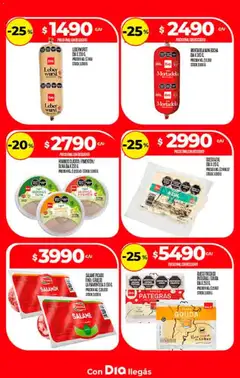 Vista previa Dia - Ofertas  válido desde el 17.12.2025 | Página: 17