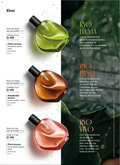 Vista previa de folleto Natura - Ciclo 17 de la Natura válido desde 03.10.2025 | Página: 65 | Productos: EAU de Toilette