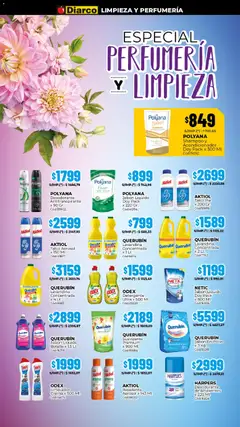 Vista previa Diarco ofertas válido desde el 12.01.2026 | Página: 19