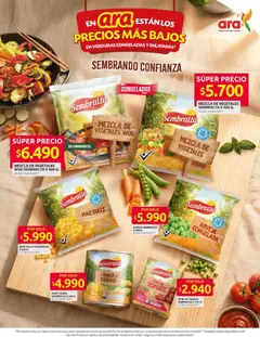 Ara catálogo -  Vista previa de la revista de la tienda Ara valido desde el 24.02.2026 | Página: 4 | Productos: Peso, Maiz, Tomate, Wok