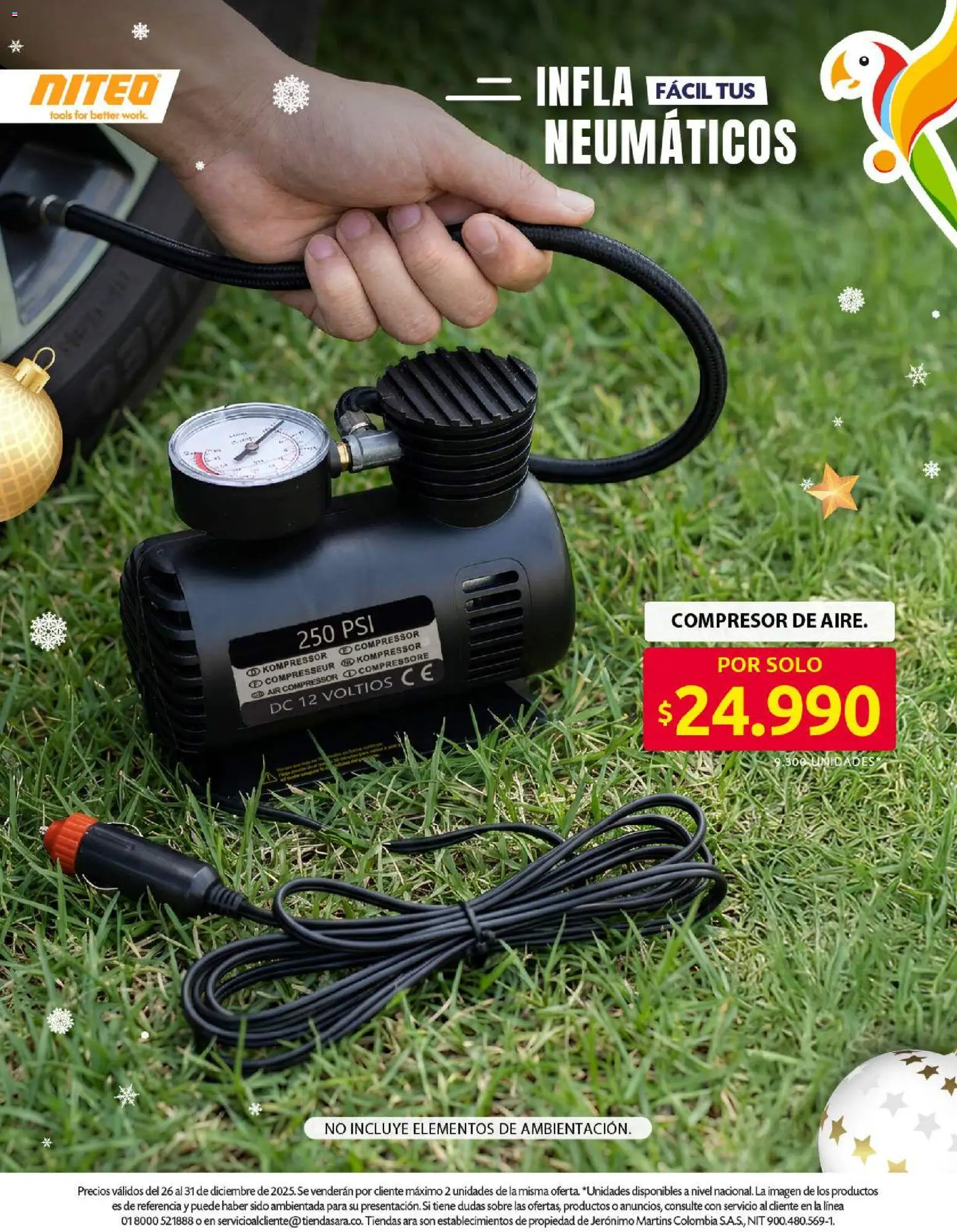 Ara revista - valida desde el 26.12.2025 | Página: 13 | Productos: Té, Sobre, Neumáticos