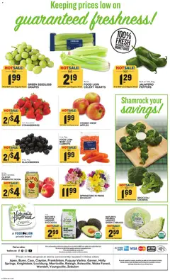 Preview of Food Lion weekly ads valid from 11.03.2026 | Page: 3