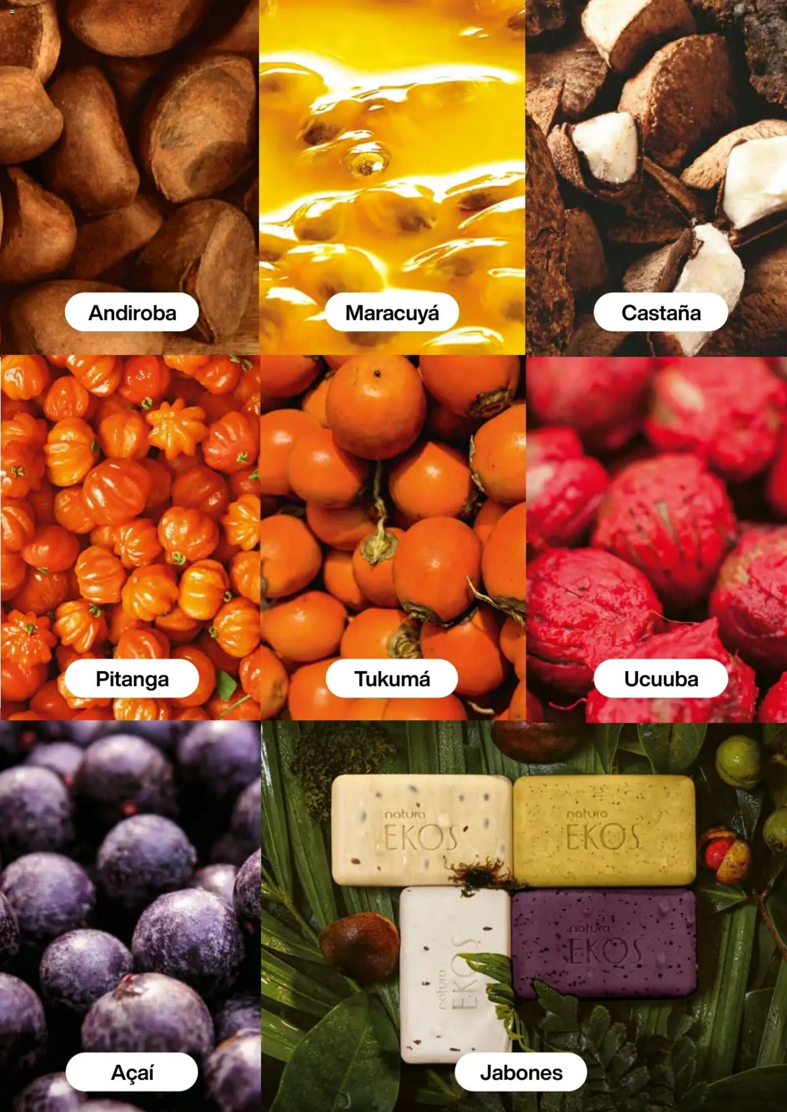 Natura revista - valida desde el 13.11.2025 | Página: 125 | Productos: Maracuyá