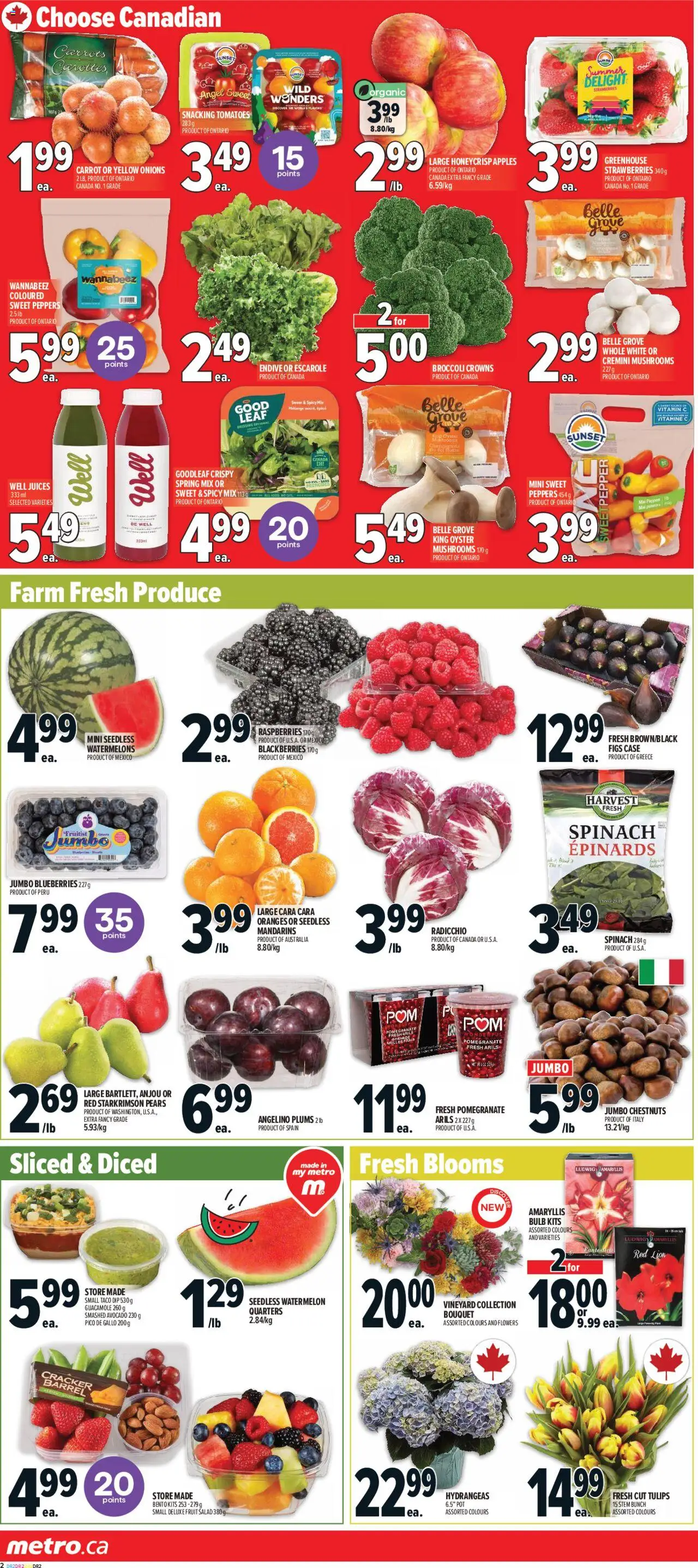 Metro flyer valid from 16.10.2025 | Page: 6 | Products: Carrot, Salad, Oranges, Tomatoes