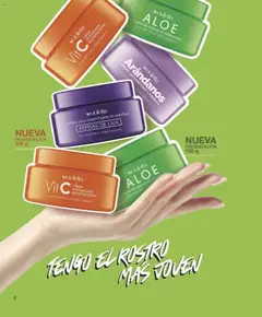 Violetta catálogo │ válido desde el 18.07.2025 | Página: 8 | Productos: Arándanos, Uva, Crema