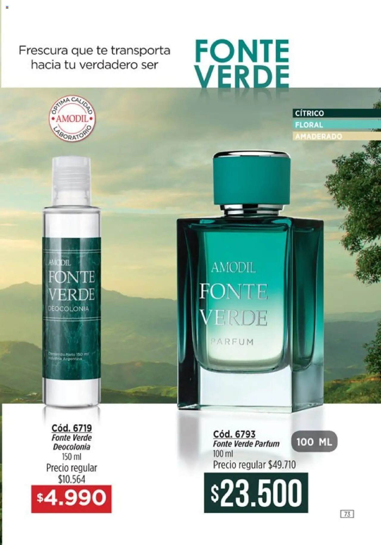 Catálogo Amodil Campaña 14 │ válido desde el 19.08.2025 | Página: 73 | Productos: Té