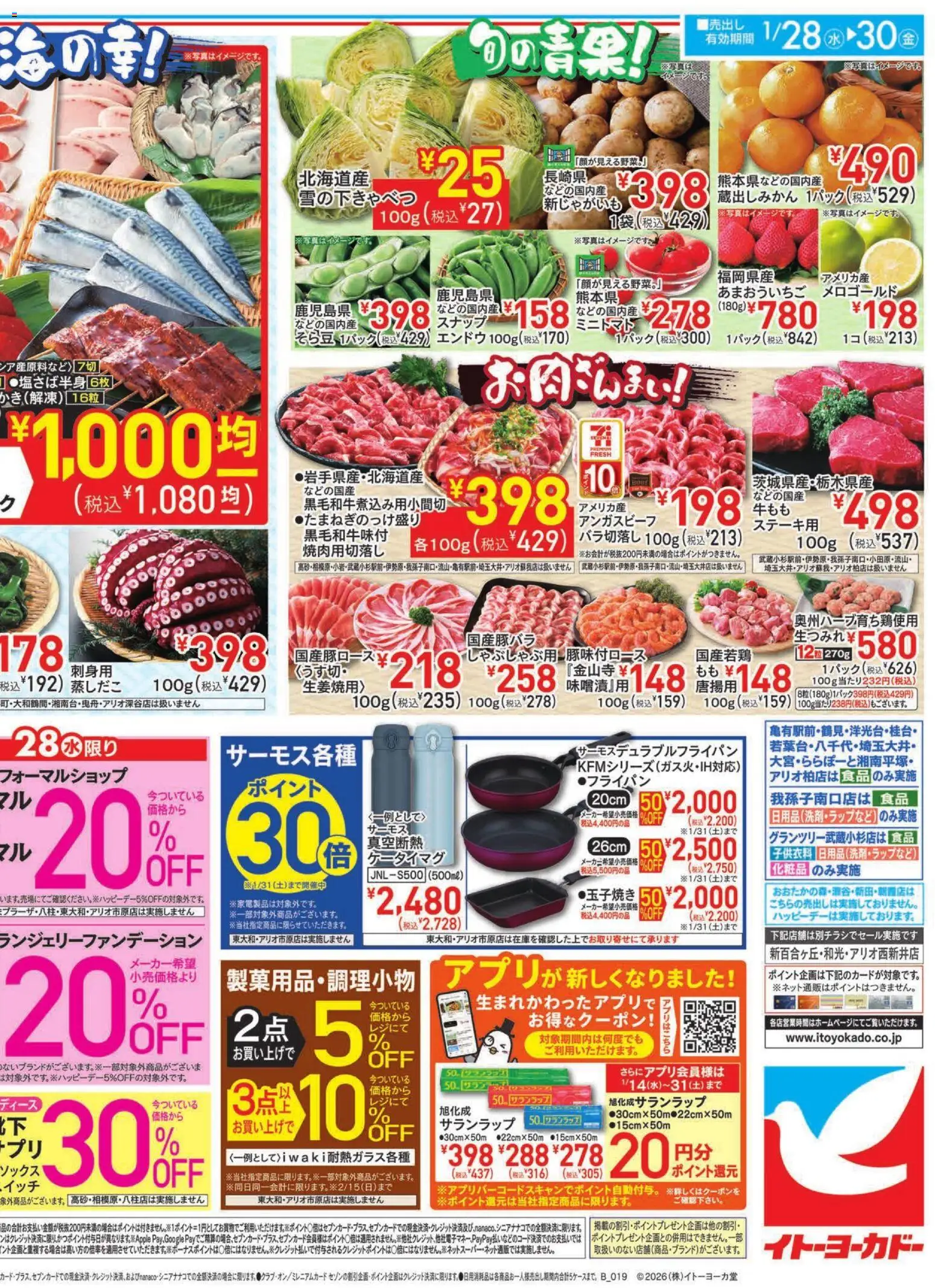 {H1} | ページ: 4 | 製品: 化粧品, エンドウ