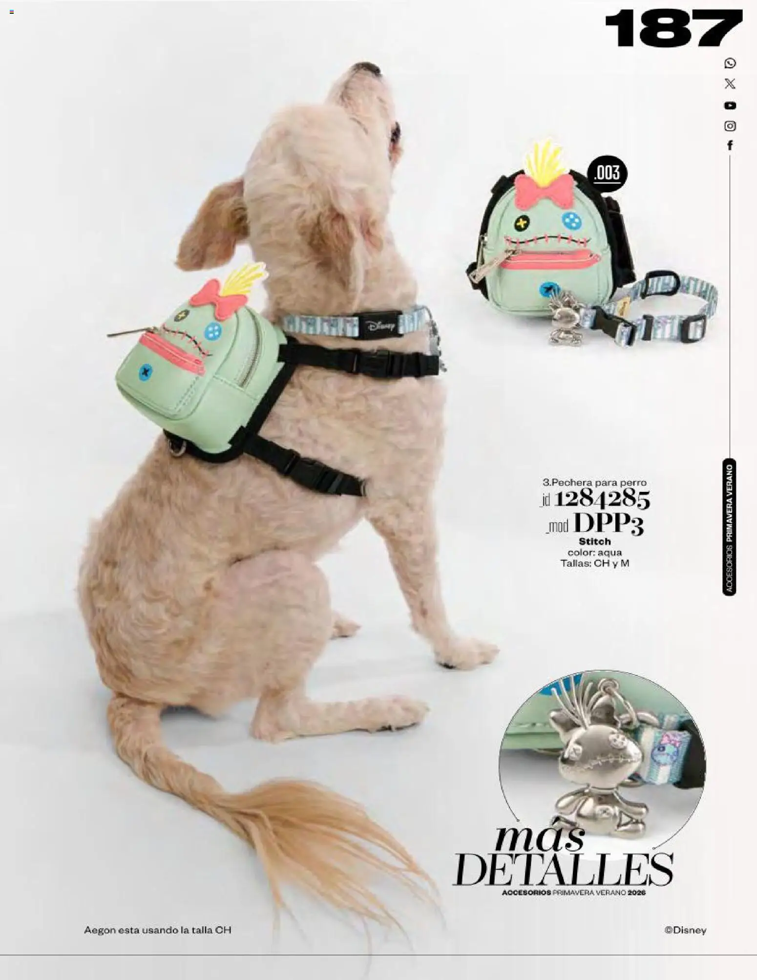 Nuevas ofertas de Price Shoes válidas en toda la República Mexicana desde el 18.04.2026. ¡Encuentra las mejores ofertas en Price Shoes catálogo Accesorios! | Página: 187