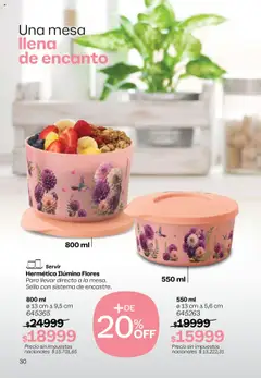 Vista previa Tupperware - Campaña 17/2025 válido desde el 13.10.2025 | Página: 31 | Productos: Mesa