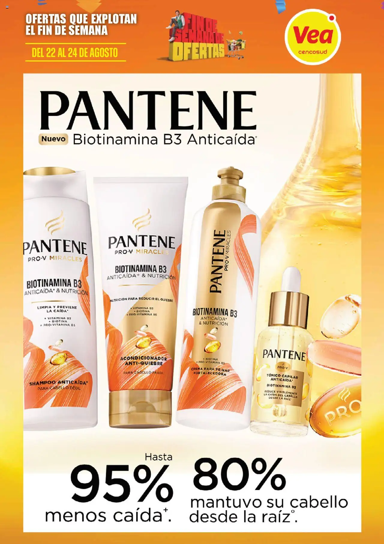 Vea ofertas │ válido desde el 22.08.2025 | Página: 6 | Productos: Shampoo, Acondicionador, Crema