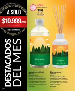 Vista previa Bagués - Catálogo válido desde el 17.11.2025 | Página: 40