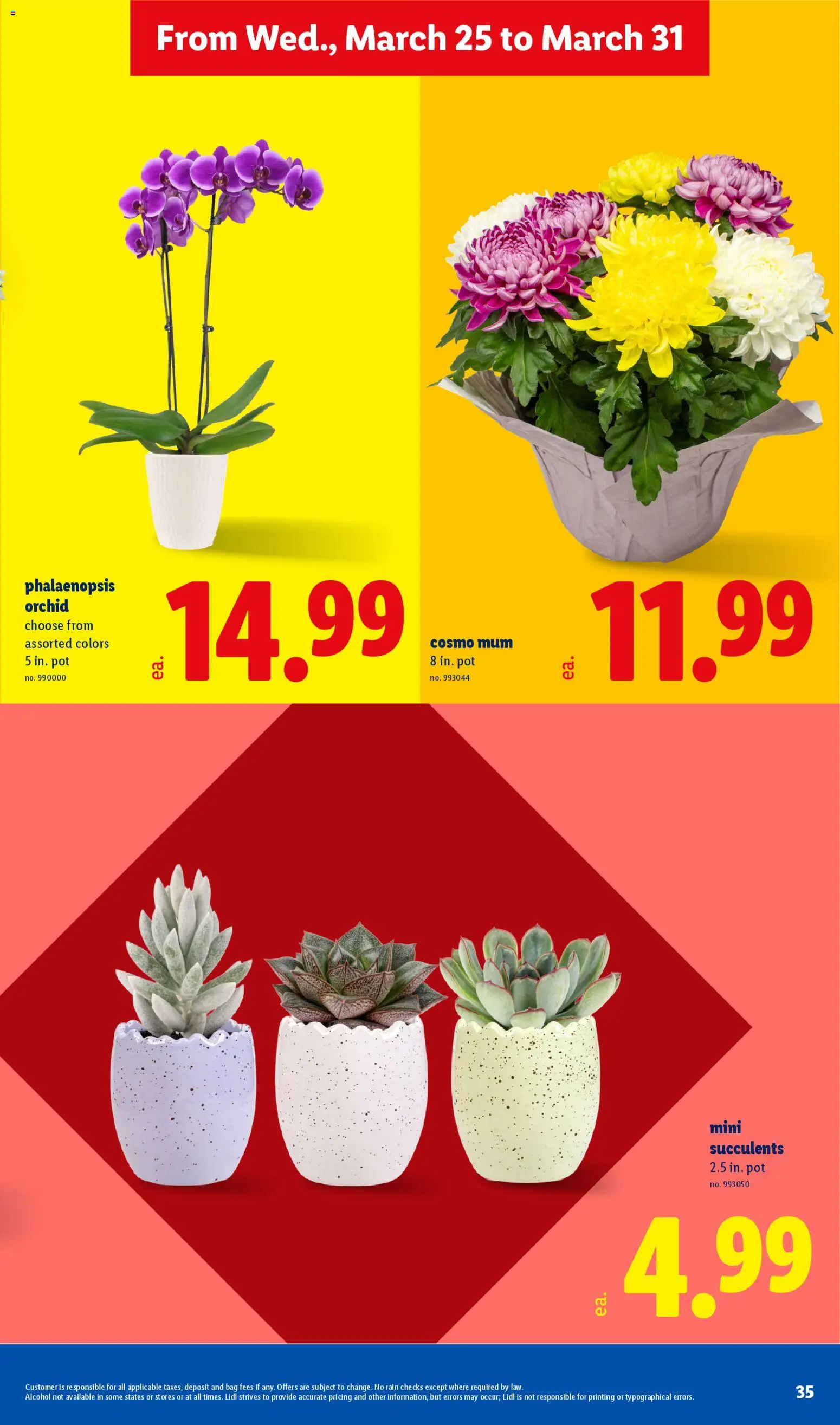 Lidl Weekly Ad - valid from 25.03.2026 | Page: 35 | Products: Bag