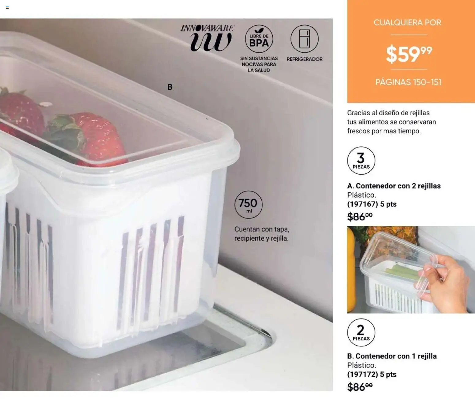 Nuevas ofertas de AVON válidas en toda la República Mexicana desde el 13.03.2026. ¡Encuentra las mejores ofertas en AVON Casa & Estilo 5 2026! | Página: 151