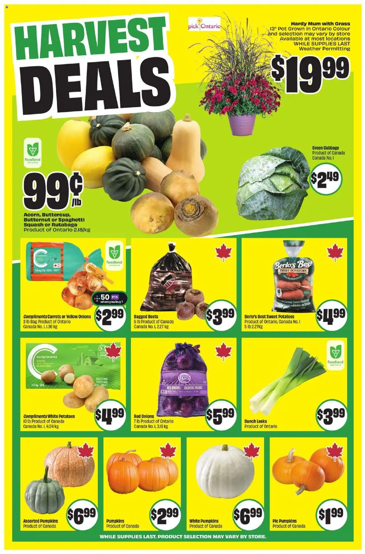 FreshCo flyer valid from 11.09.2025 | Page: 5 | Products: Potatoes, Bag