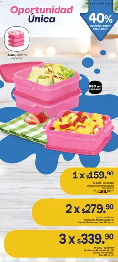 Vista previa de Tupperware catálogo, nuevo folleto de la tienda, válido en México a partir del 01.12.2025 | Página: 32