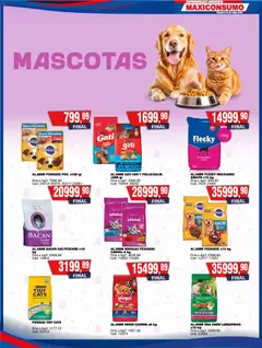 Vista previa Maxiconsumo ofertas válido desde el 03.11.2025 | Página: 31 | Productos: Pescado, Té