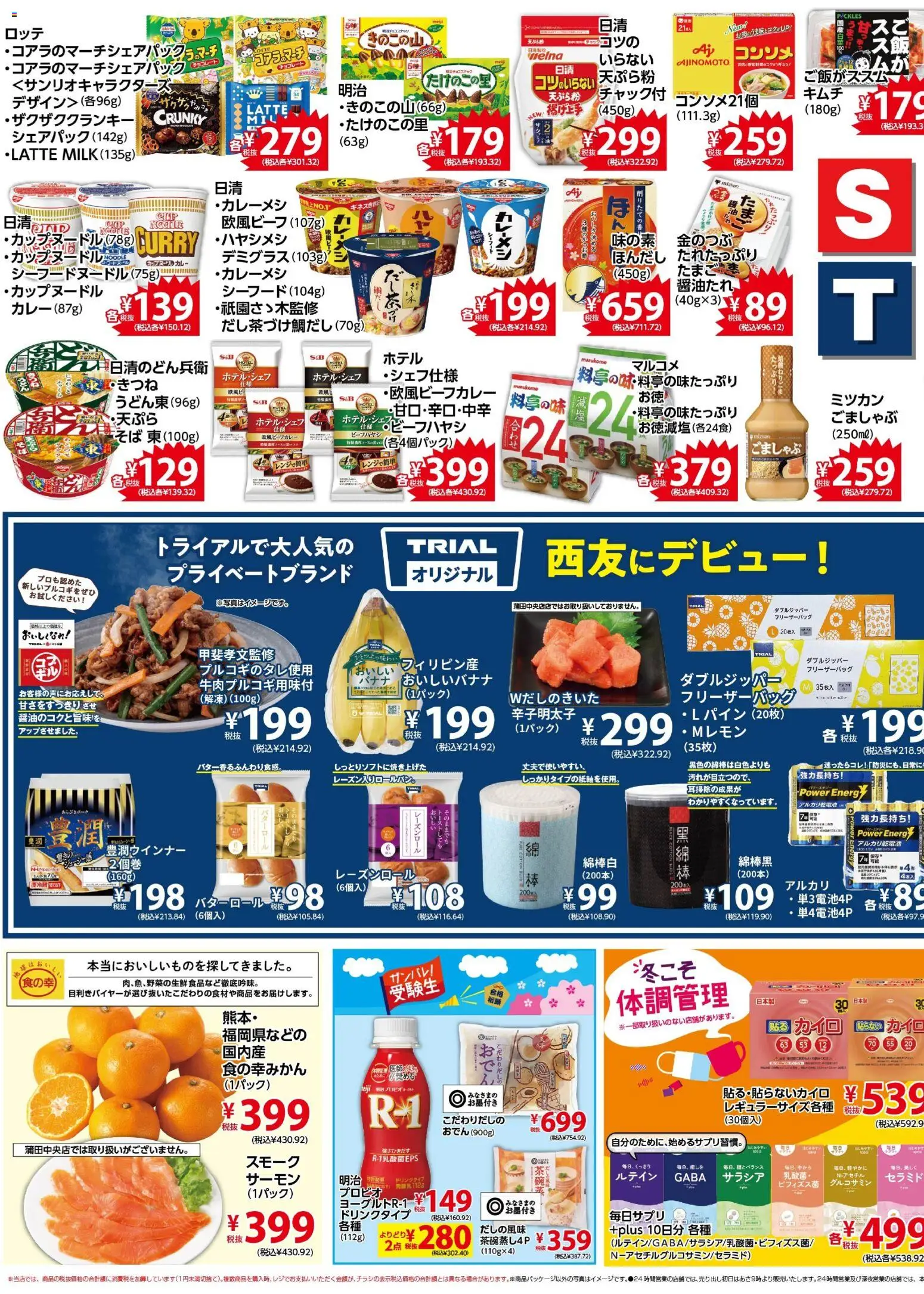 {H1} | ページ: 3 | 製品: カイロ, チョコレート, アルカリ乾電池