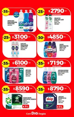 Vista previa Dia - Ofertas - Excluye Salta y Jujuy válido desde el 03.12.2025 | Página: 21