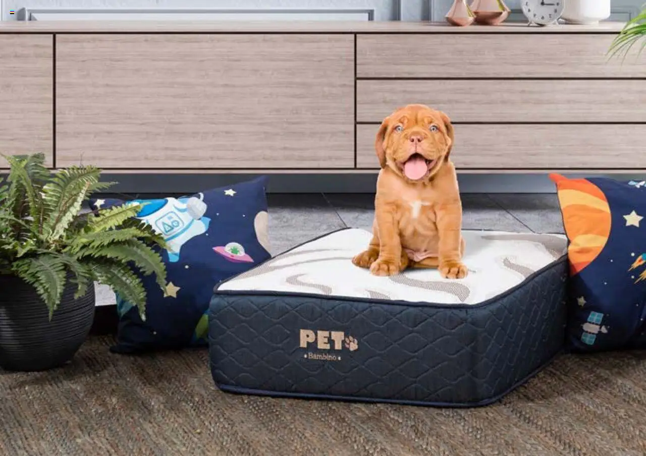 Nuevas ofertas de Muebles Dico válidas en toda la República Mexicana desde el 25.10.2024. ¡Encuentra las mejores ofertas en Muebles Dico catálogo Dico! | Página: 104