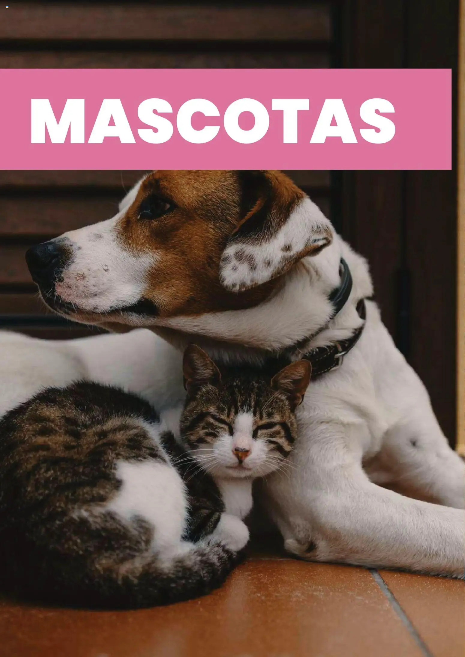 Cugat ofertas  │ válido desde el 01.04.2026 | Página: 32