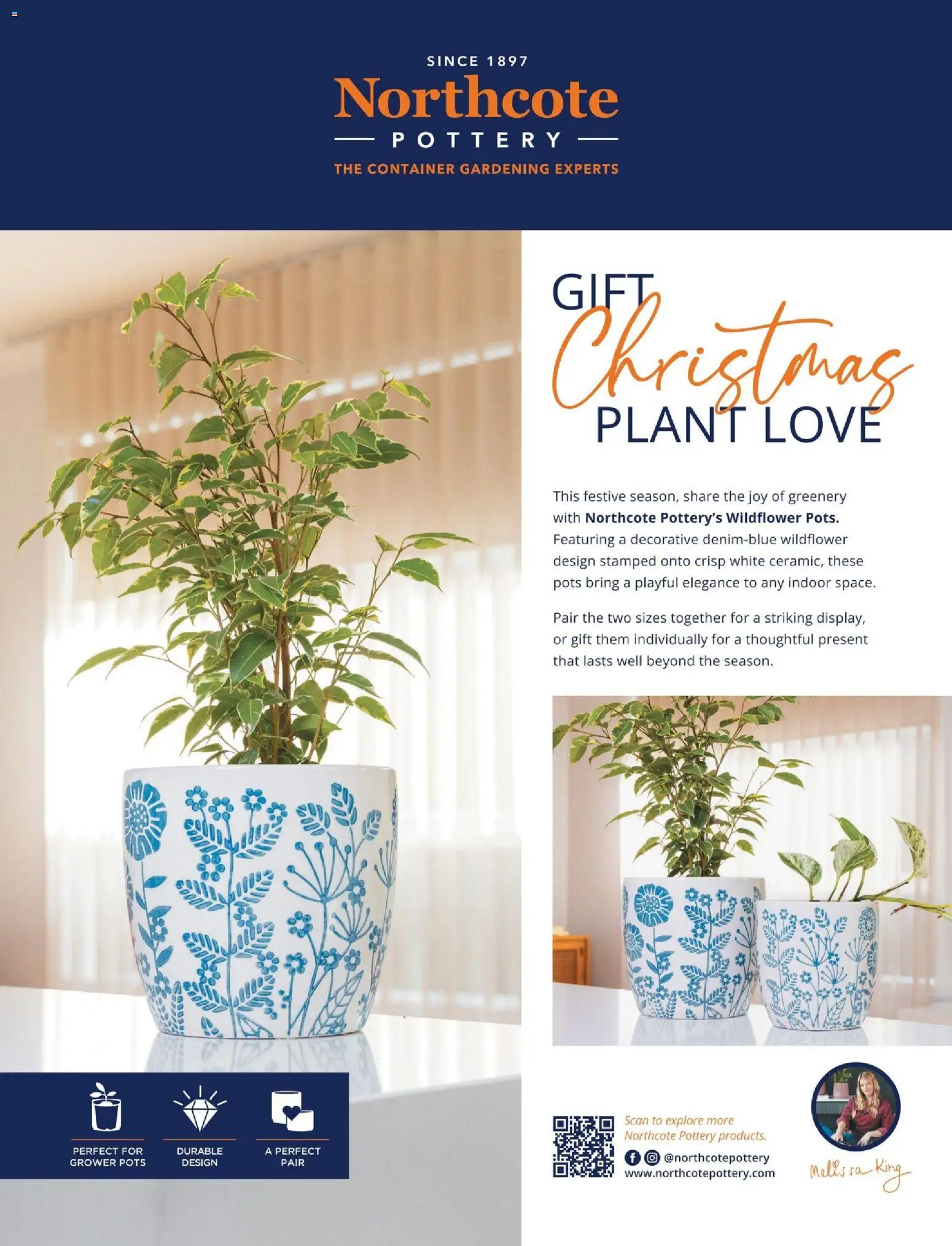 Bunnings Warehouse catalogue - valid from 01.12.2025 | Page: 53 | Products: Plant