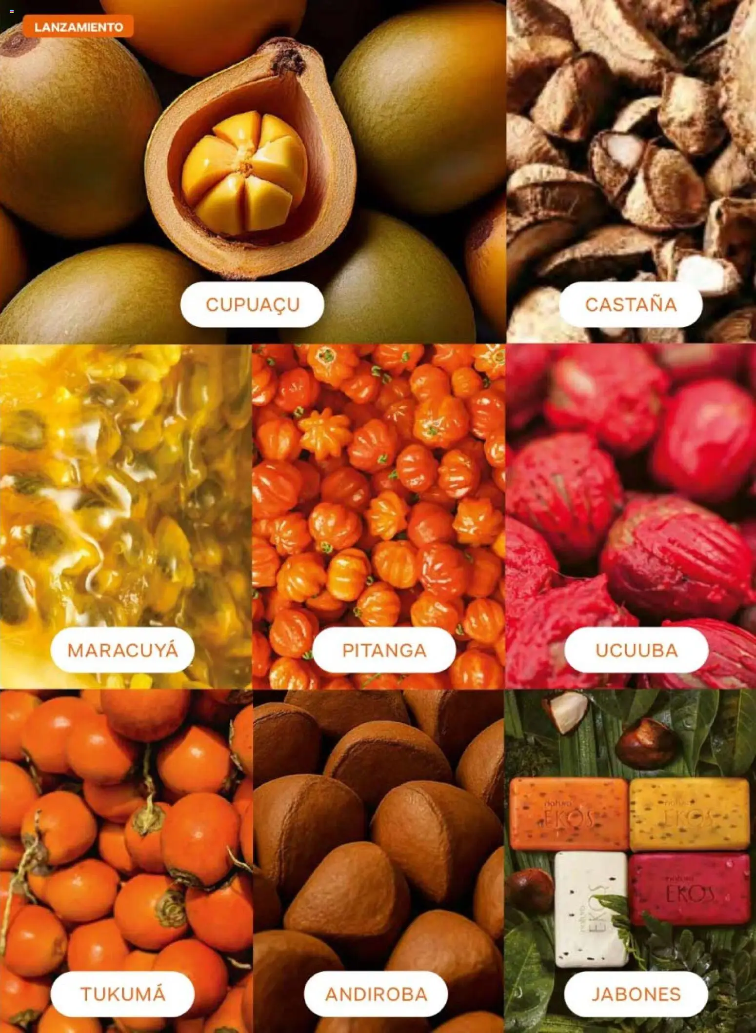 Nuevas ofertas de Natura válidas en toda la República Mexicana desde el 08.05.2026. ¡Encuentra las mejores ofertas en Natura campaña 8 2026! | Página: 99