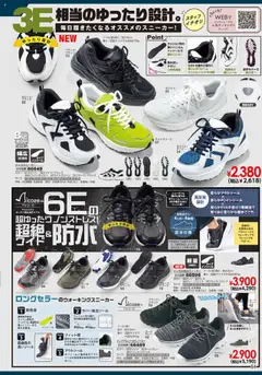 01.10.2025から有効なオファーを含む ヒラキ - Exciting Price 3712 | ページ: 65 | 製品: インソール