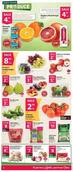 Preview of Co-op Food weekly flyer / circulaire from shop Co-op Food valid from 19.03.2026 | Page: 3