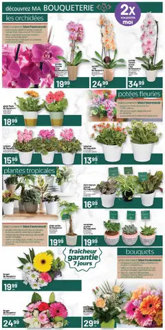 Preview of Metro weekly flyer / circulaire from shop Metro valid from 22.01.2026 | Page: 6 | Products: Vase