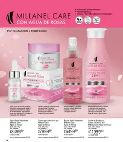 Millanel catálogo │ válido desde el 15.09.2025 | Página: 98 | Productos: Bruma, Agua, Leche, Crema