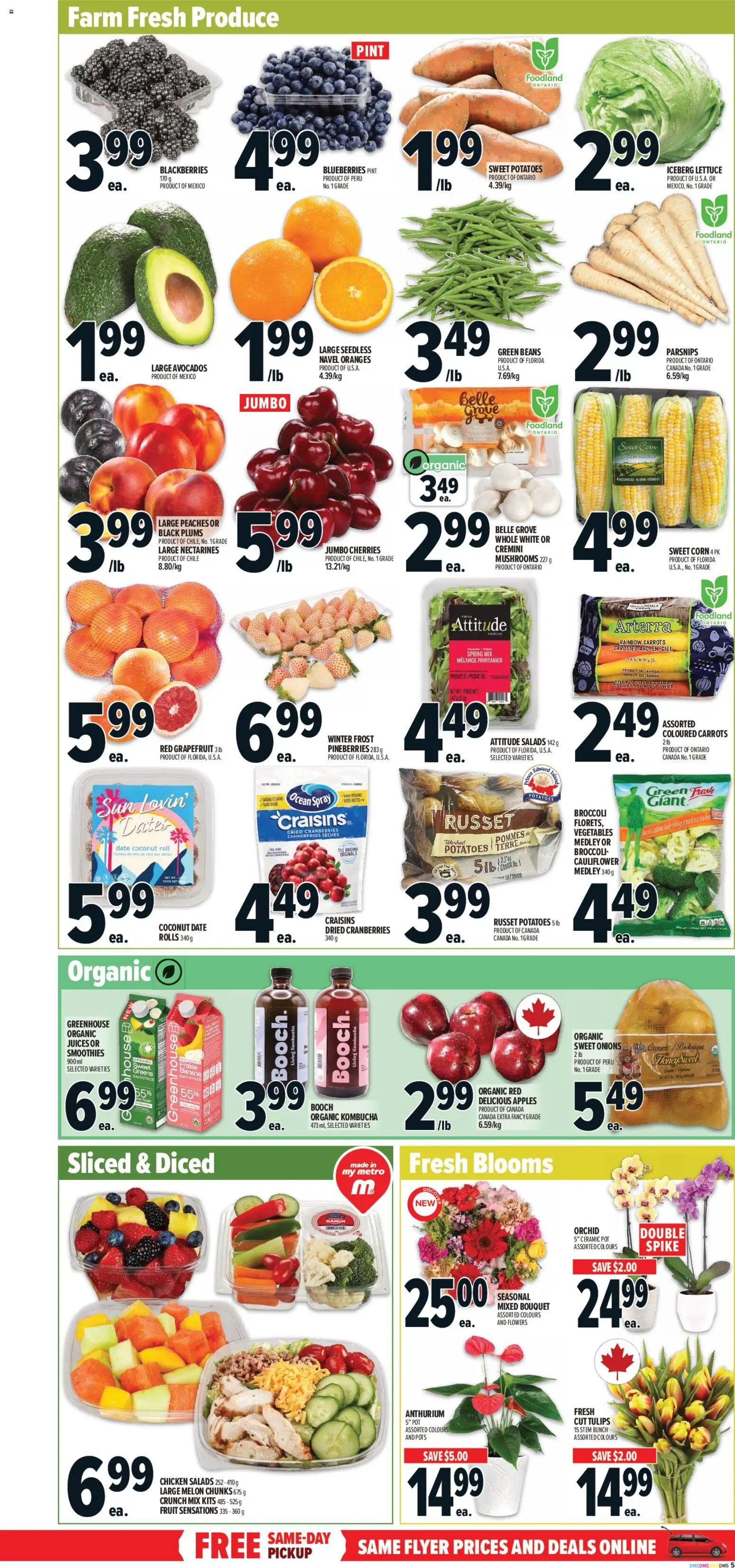 Metro flyer valid from 29.01.2026 | Page: 7 | Products: Potatoes, Chicken, Apples, Oranges