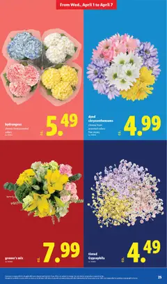 Preview of Lidl weekly ads valid from 01.04.2026 | Page: 25
