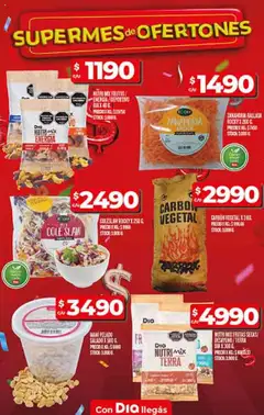 Supermercado DIA Ofertas │ válido desde el 23.07.2025 | Página: 9