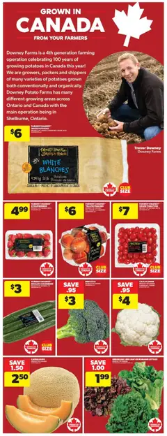 Real Canadian Superstore flyer valid from 31.07.2025 | Page: 11 | Products: Strawberries, Cucumbers, Potatoes, Tomatoes