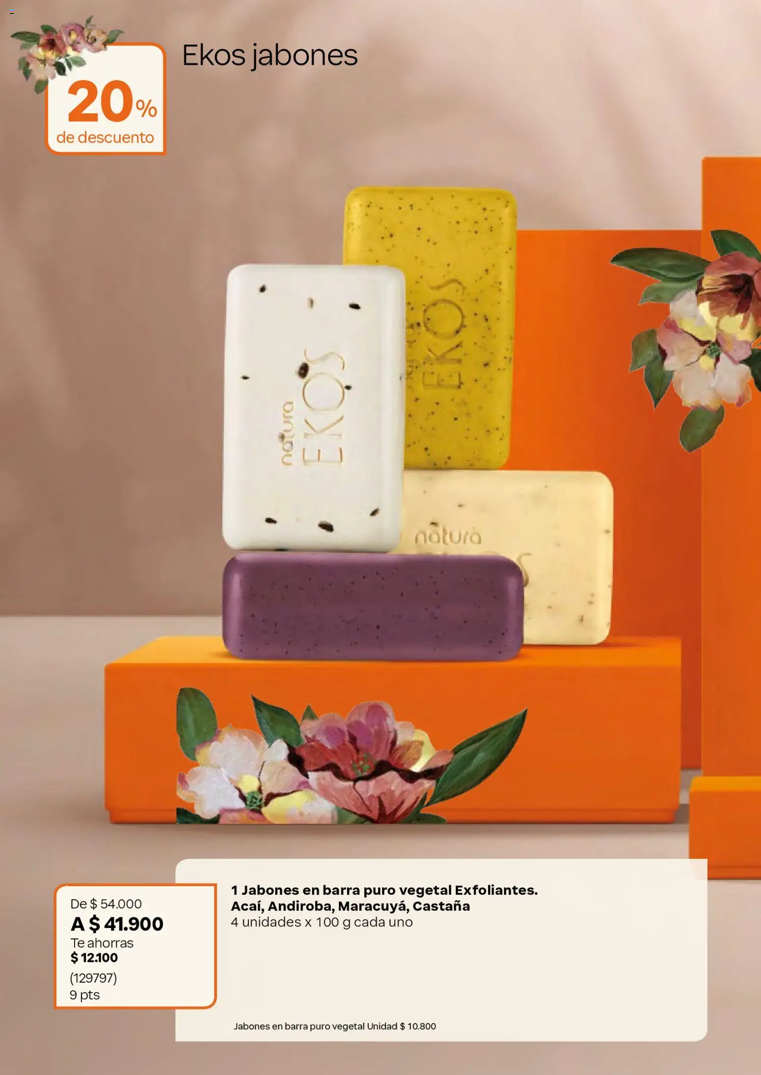 Natura revista - valida desde el 08.04.2026 | Página: 36 | Productos: Té