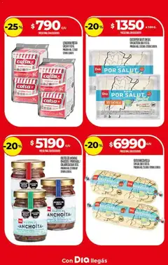 Vista previa Supermercado DIA Ofertas válido desde el 01.04.2026 | Página: 20 | Productos: Sal, Queso, Provenzal